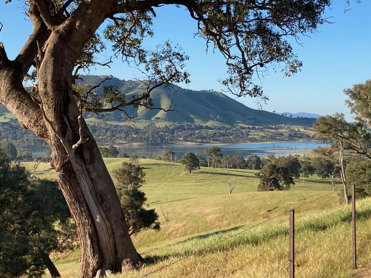 Burnt Creek Cottages Mansfield Esterno foto