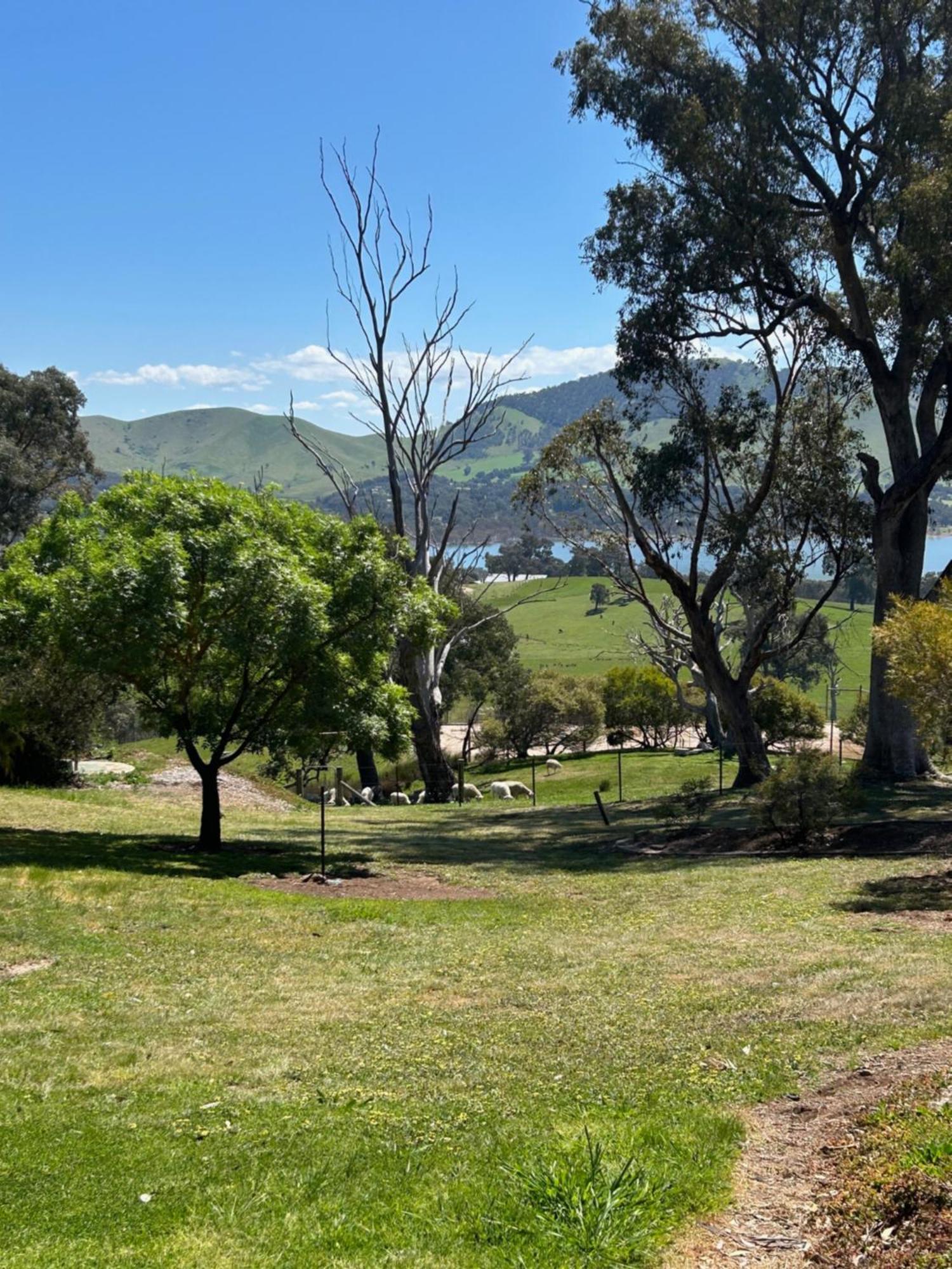 Burnt Creek Cottages Mansfield Esterno foto