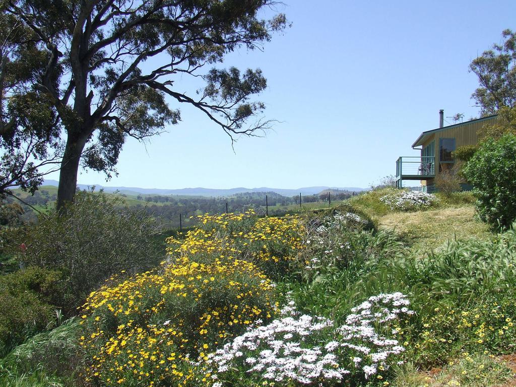Burnt Creek Cottages Mansfield Esterno foto