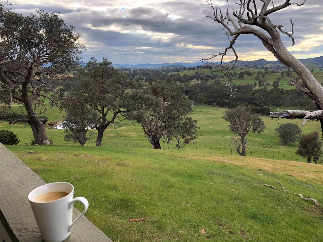Burnt Creek Cottages Mansfield Esterno foto
