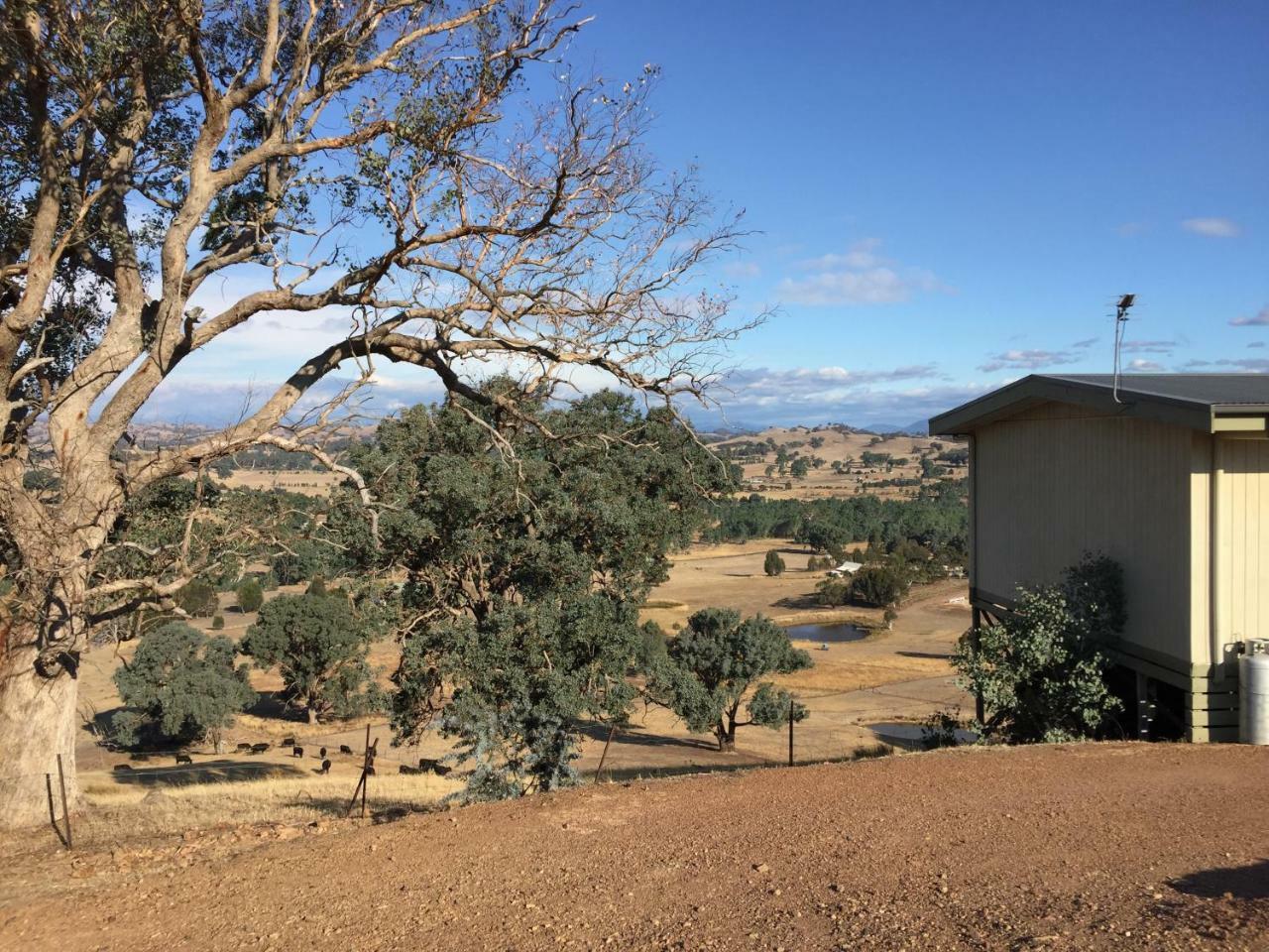 Burnt Creek Cottages Mansfield Esterno foto