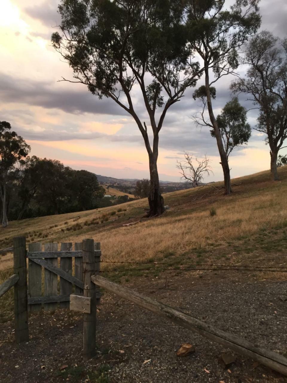 Burnt Creek Cottages Mansfield Esterno foto