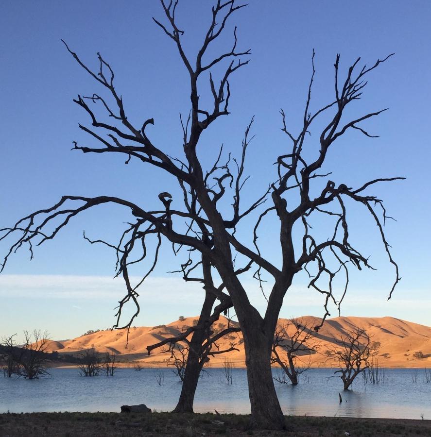 Burnt Creek Cottages Mansfield Esterno foto