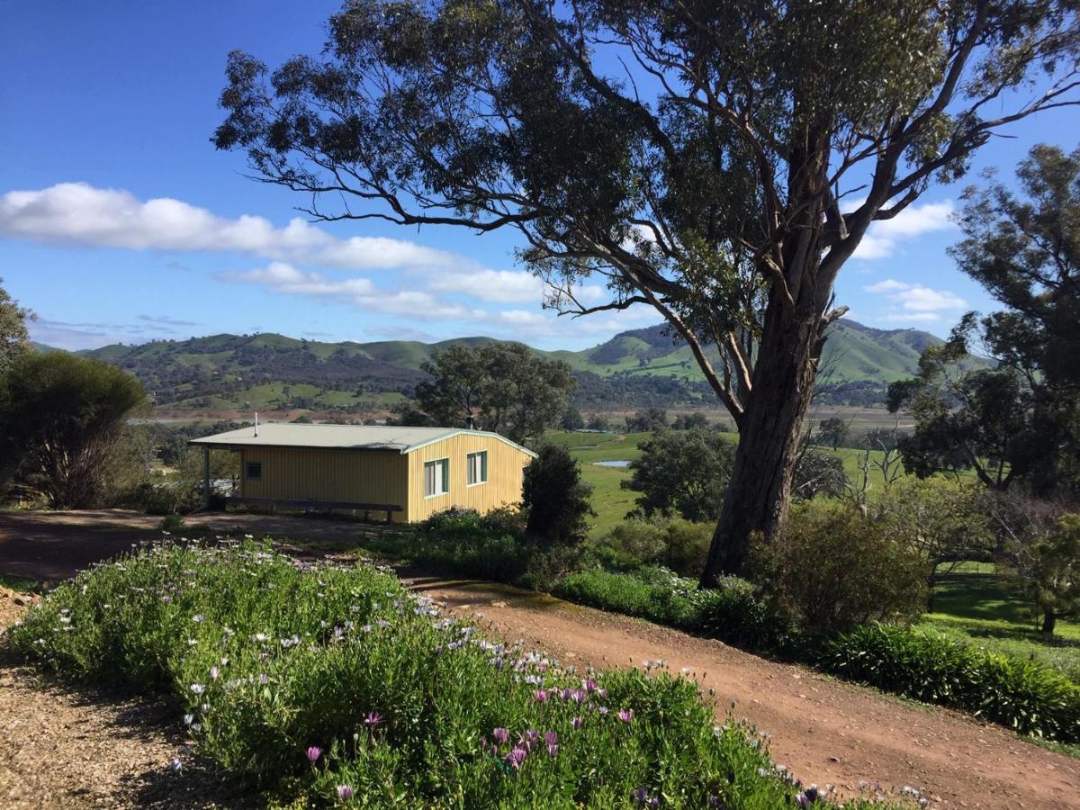 Burnt Creek Cottages Mansfield Esterno foto