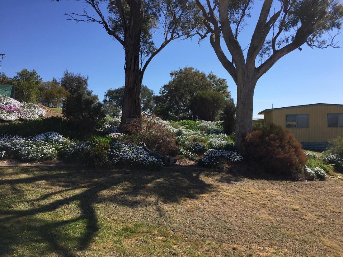 Burnt Creek Cottages Mansfield Esterno foto